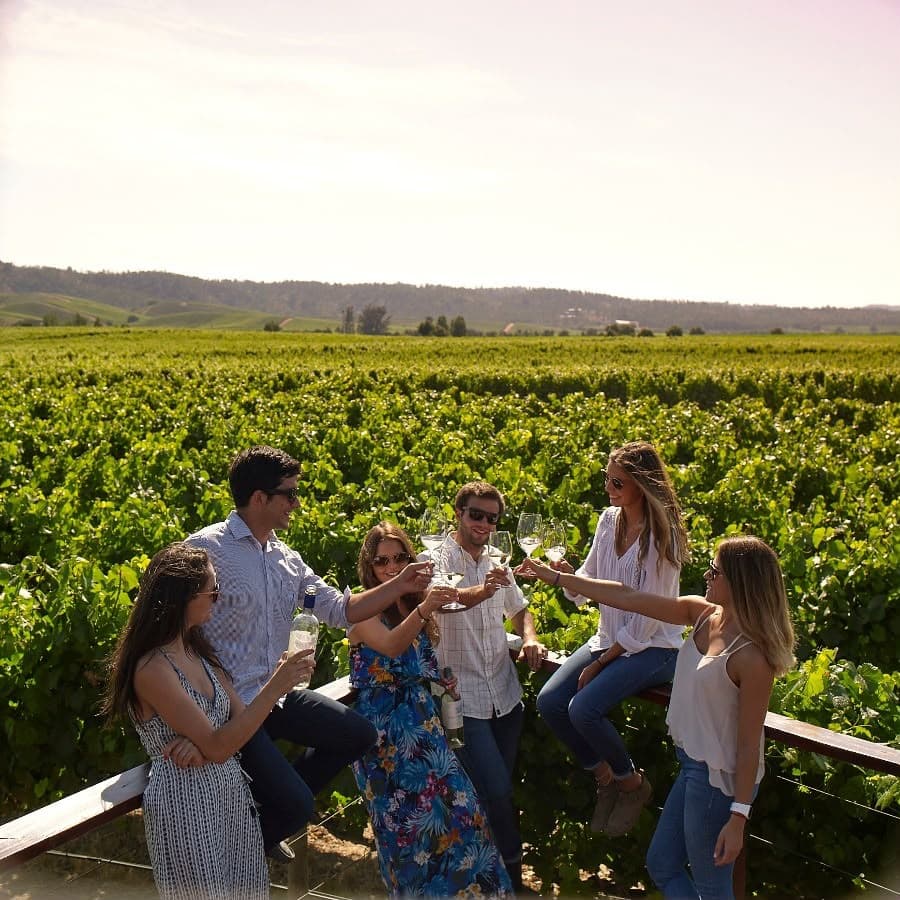 Viñedos