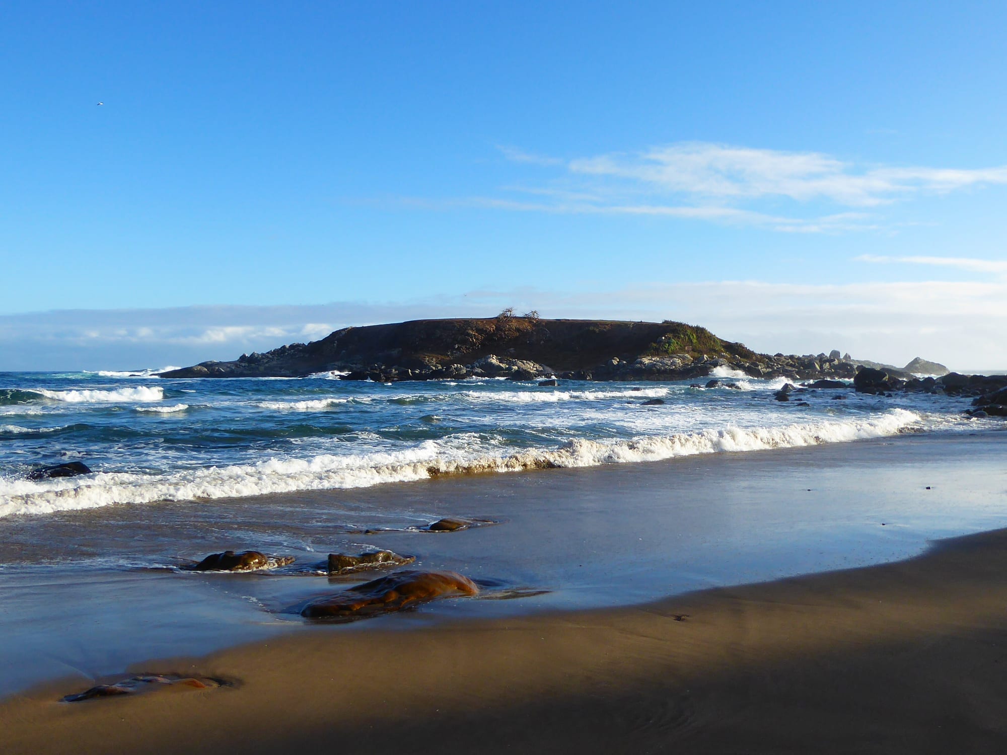 Insel von Cachagua vor dem Strand, Rückzugsort der Pinguine