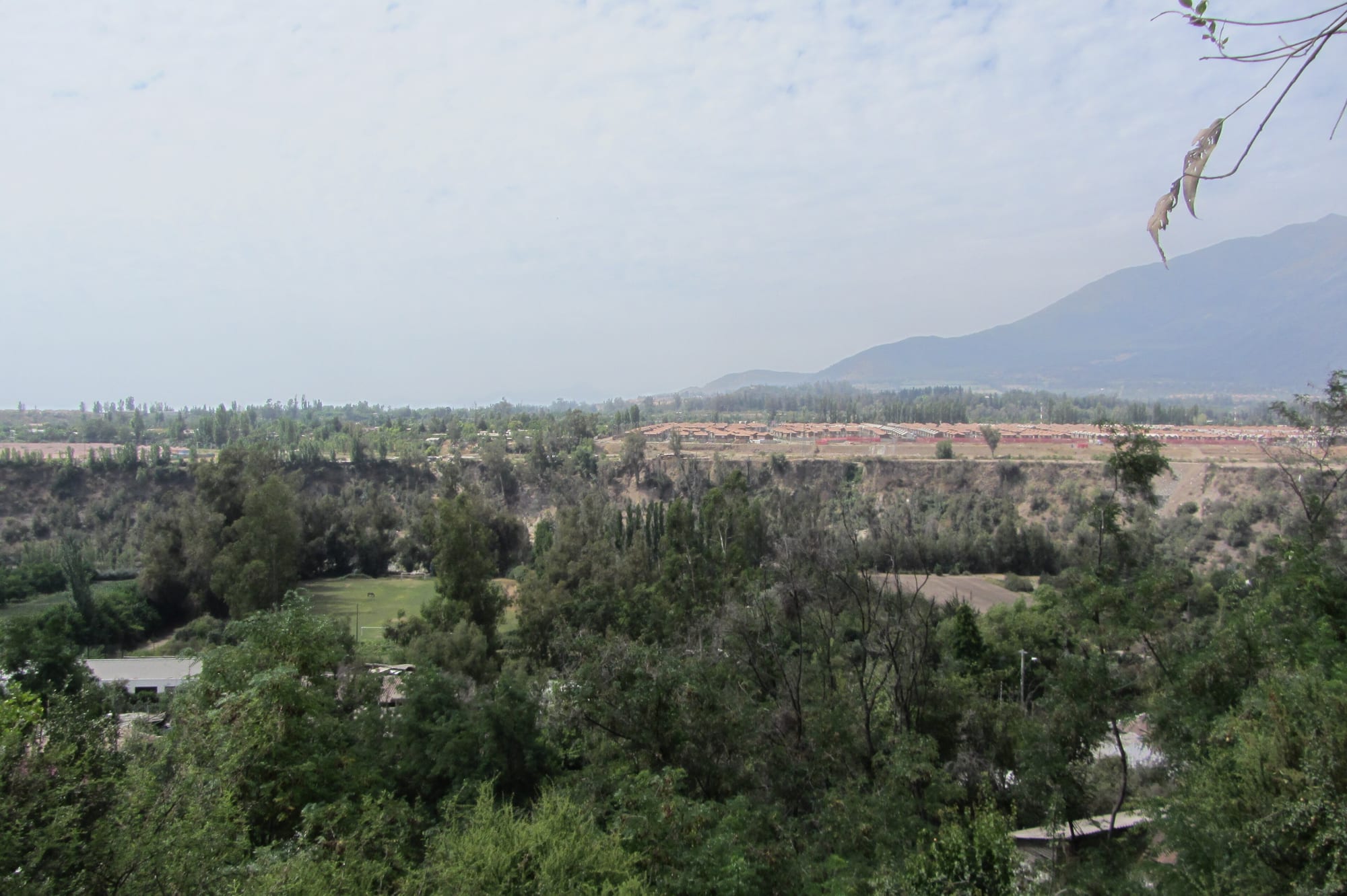 Fields and vineyards of Pirque with the Andes in the background