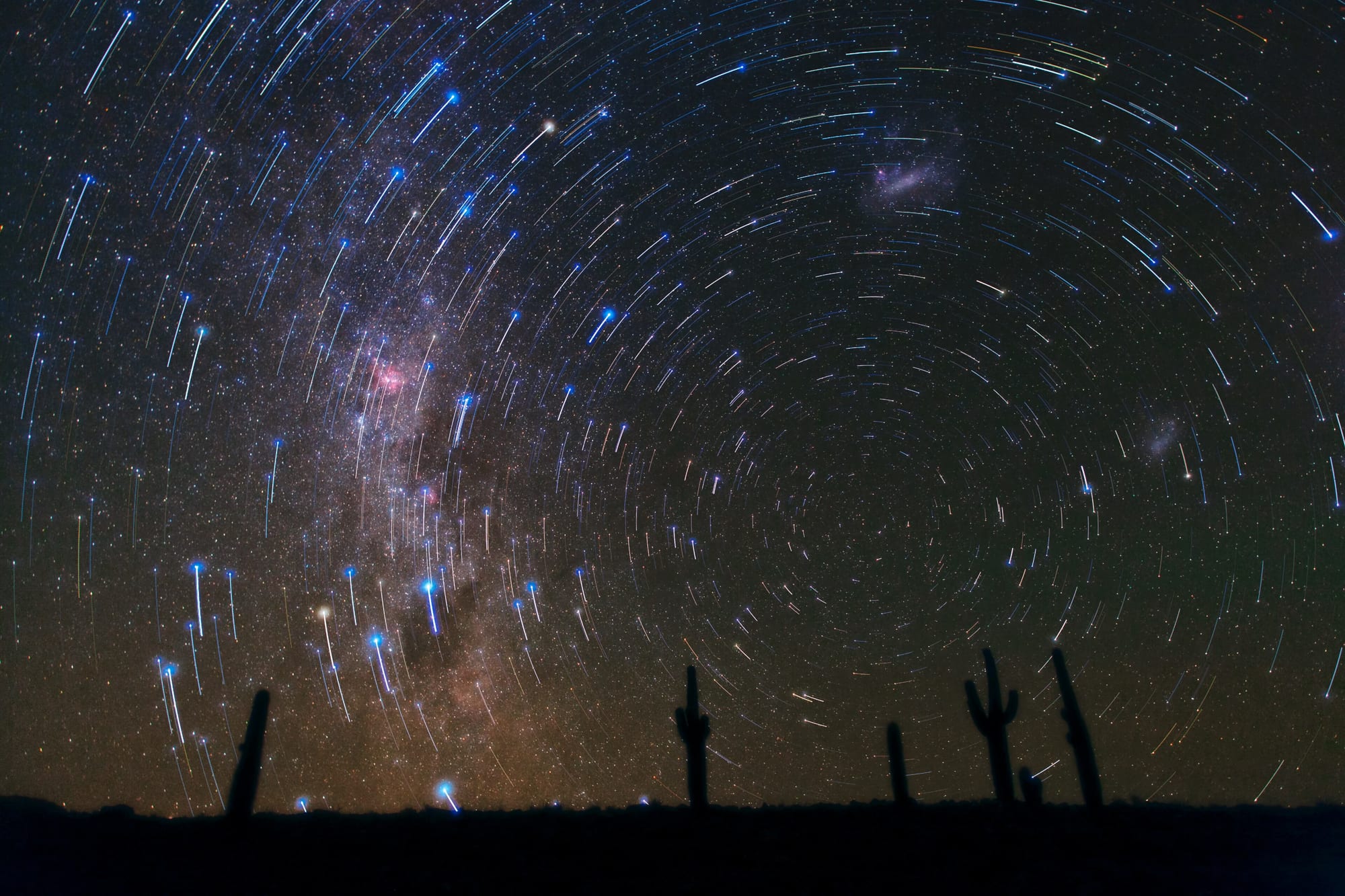 Estelas de estrellas sobre cactus en el desierto de Atacama
